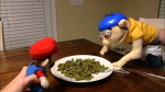 I dont like green beans