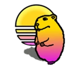 Sunset Chomik