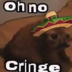 El gato two
