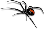 SPIDER phantom