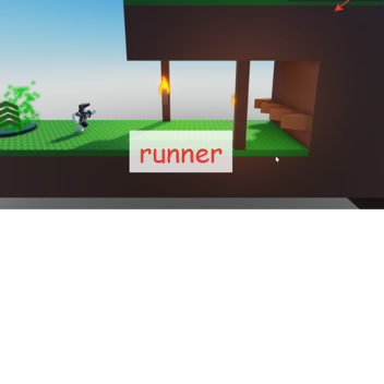 runner