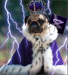 Royal ZoneYT