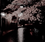 Wonyangi ༄