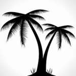 Beachy Studios