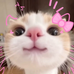 # kwtty '