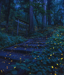 Fireflies~ <3