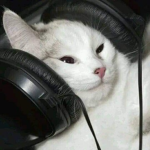 K%V