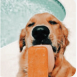 Sʀᴀᴡʙᴇʀʀʏ ғᴀɴ ᴄʟᴜʙ