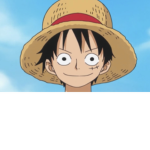 Straw hat crew! 1