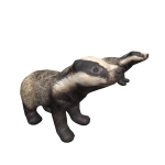 Badger Friends