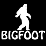Bigfoot Hunting Team