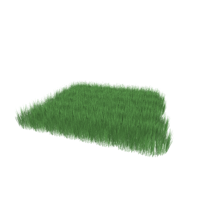 long grass