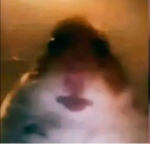 Chomidzki