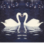 fantasy’