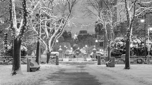 Winter Sadness