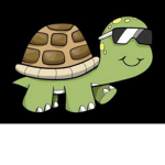 The Swaggy Turtle Group