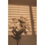 Esthétique mood