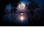Moonlight Xx