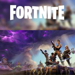 Fortnite (WORKING)