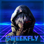 Team SweekFly