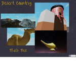 Desert County