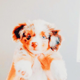 ☆