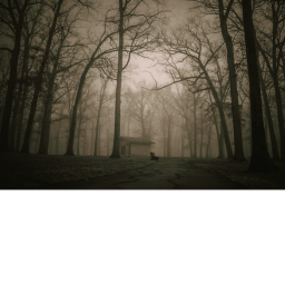 Horror forest toor of house