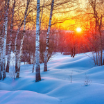 *. snow moon