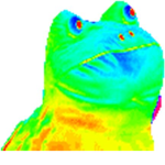 da bois makin' games
