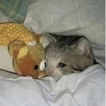 Y0UU