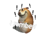 Rember Chomik