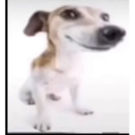 potato45823