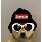 GHOUL'S APPAREL