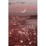 •sᴡᴀɢɢʏ ᴄʟᴏᴛʜɪɴɢ•