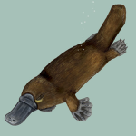 Children of the Monotreme