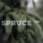 Spruce Development Studio