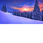 ,Snowy White Girls