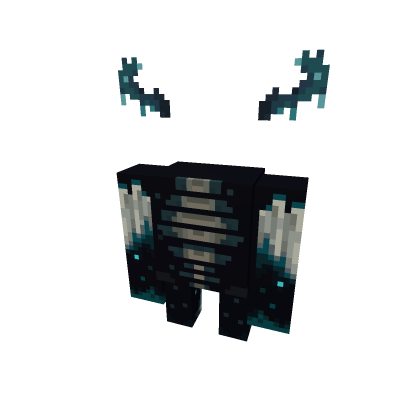 Warden
