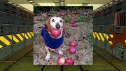 🚪Survive DOG WITH APPLE In Area 51🔦