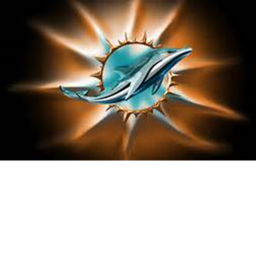 Dolphins Stadium