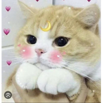 ~P E A N U T S~