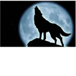 Wolf Rebel Wrestling