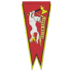 Order of the Knights of the White Wolf