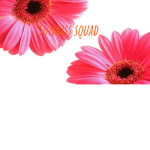 The Little bee squad Squad