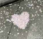 'Petals'