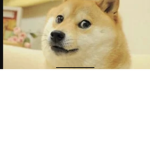DoggoGoesWoof