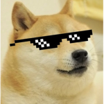 Doge king you are the !!!!!!