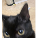 A i k o S t o r e