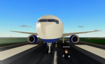 Pilot flight simulation