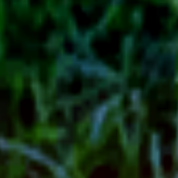 เกมที่สมจริง